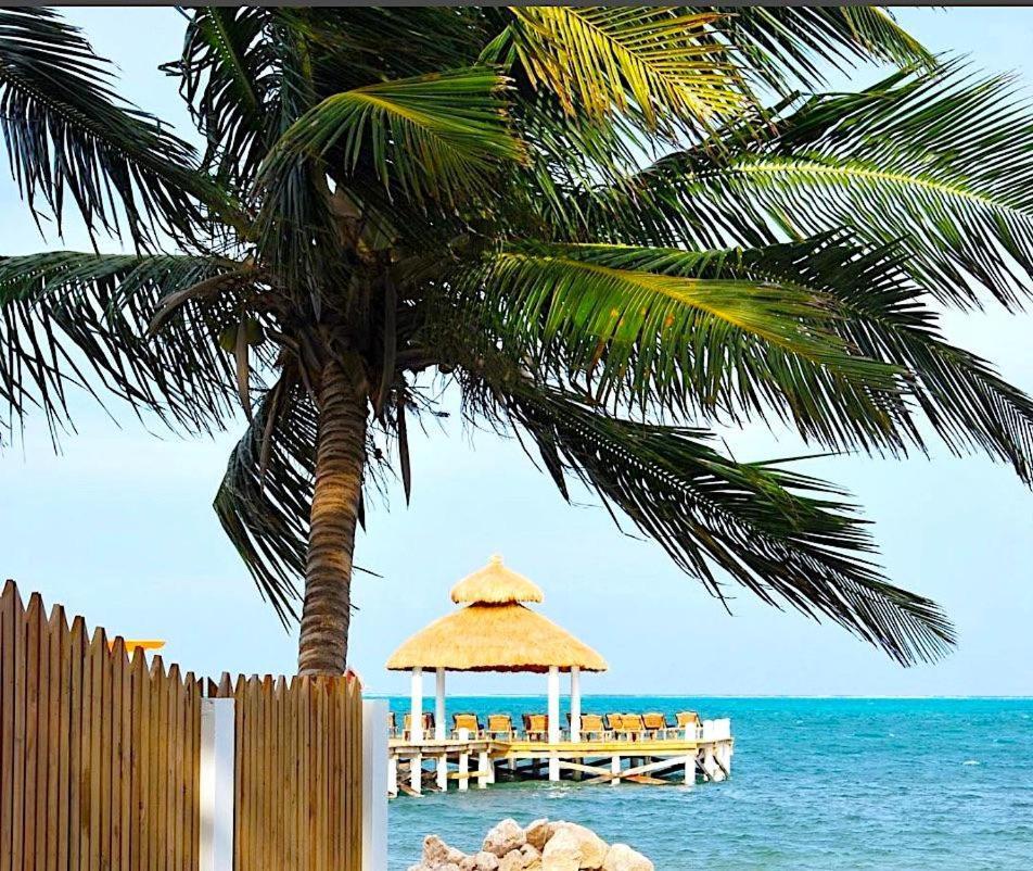 Velento Beach Level #9 Caye Caulker Eksteriør billede